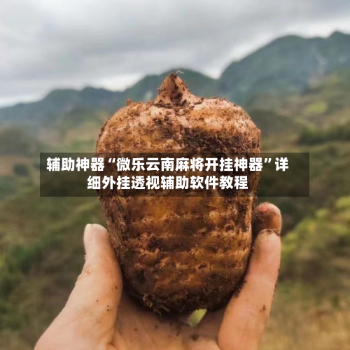 辅助神器“微乐云南麻将开挂神器”详细外挂透视辅助软件教程-第2张图片