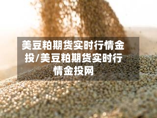 美豆粕期货实时行情金投/美豆粕期货实时行情金投网