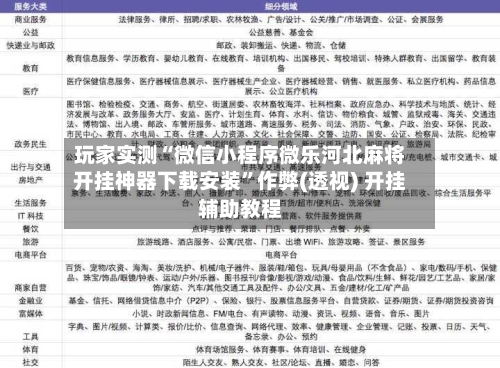 玩家实测“微信小程序微乐河北麻将开挂神器下载安装”作弊(透视) 开挂辅助教程-第3张图片