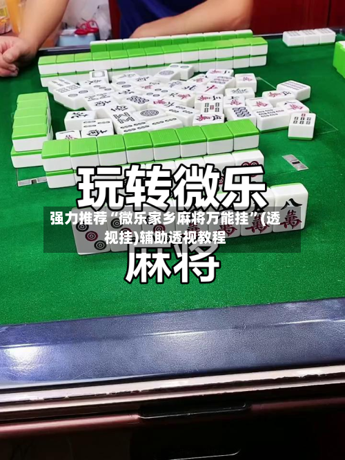 强力推荐“微乐家乡麻将万能挂	”(透视挂)辅助透视教程-第3张图片