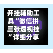 开挂辅助工具“微信拼三张透视挂”详细分享装挂步骤教程-第2张图片