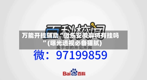 万能开挂辅助“微乐安徽麻将有挂吗”(曝光透视必备猫腻)-第2张图片
