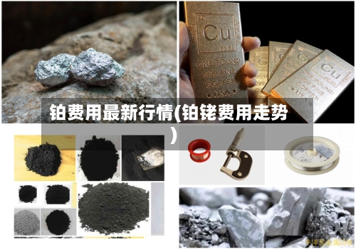 铂费用最新行情(铂铑费用走势)