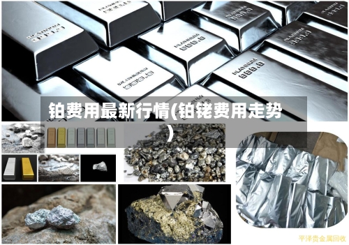 铂费用最新行情(铂铑费用走势)-第2张图片