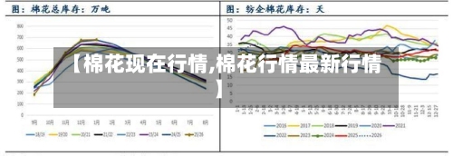 【棉花现在行情,棉花行情最新行情】-第3张图片