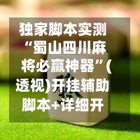 独家脚本实测“蜀山四川麻将必赢神器”(透视)开挂辅助脚本+详细开挂安装教程