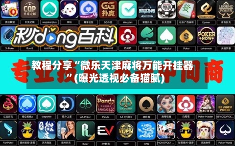 教程分享“微乐天津麻将万能开挂器”(曝光透视必备猫腻)-第2张图片