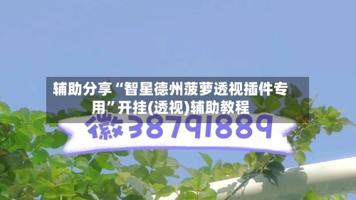 辅助分享“智星德州菠萝透视插件专用”开挂(透视)辅助教程