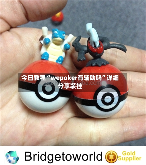 今日教程“wepoker有辅助吗”详细分享装挂