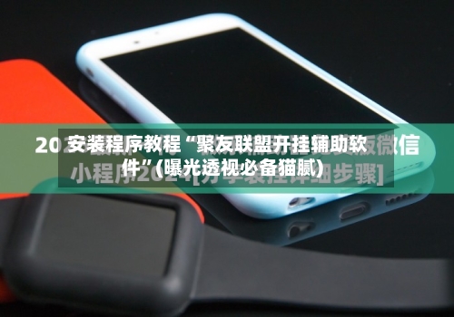 安装程序教程“聚友联盟开挂辅助软件”(曝光透视必备猫腻)