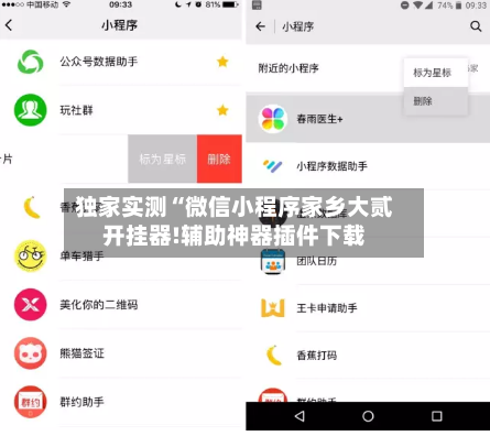 独家实测“微信小程序家乡大贰开挂器!辅助神器插件下载