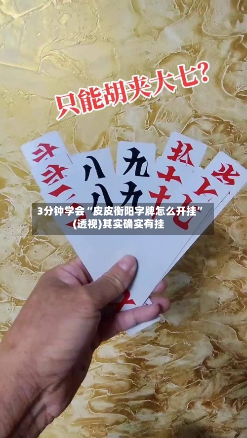 3分钟学会“皮皮衡阳字牌怎么开挂”(透视)其实确实有挂
