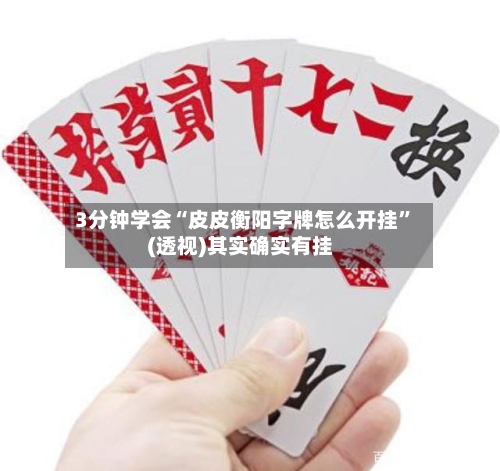 3分钟学会“皮皮衡阳字牌怎么开挂	”(透视)其实确实有挂-第2张图片