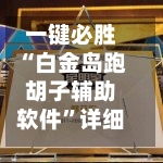 一键必胜“白金岛跑胡子辅助软件”详细外挂透视辅助软件教程-第2张图片