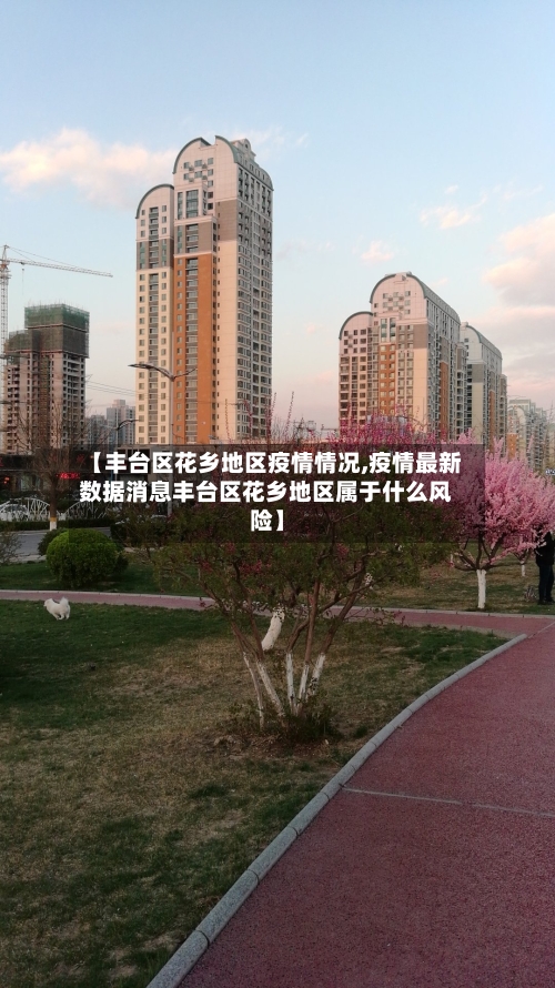 【丰台区花乡地区疫情情况,疫情最新数据消息丰台区花乡地区属于什么风险】