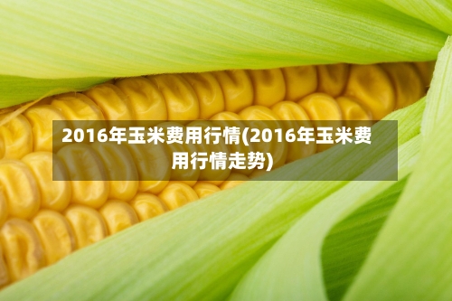2016年玉米费用行情(2016年玉米费用行情走势)