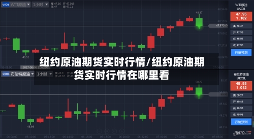 纽约原油期货实时行情/纽约原油期货实时行情在哪里看