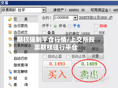 期权强制平仓行情/上交所股票期权强行平仓-第2张图片