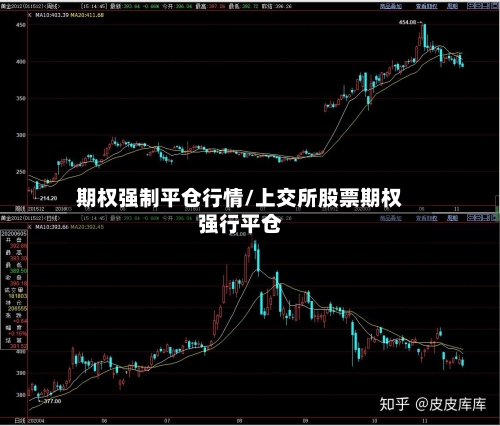 期权强制平仓行情/上交所股票期权强行平仓