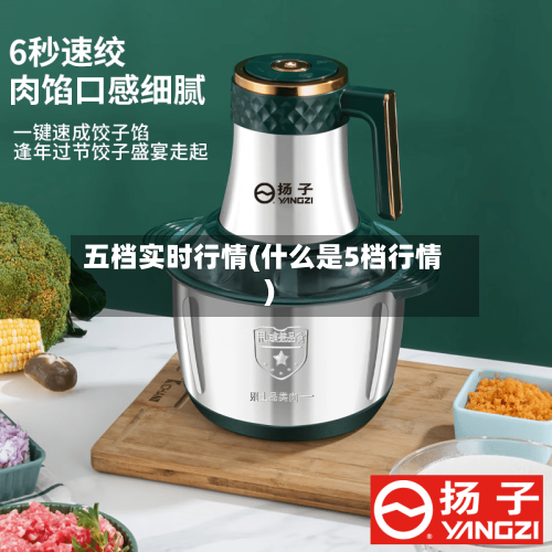 五档实时行情(什么是5档行情)