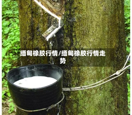缅甸橡胶行情/缅甸橡胶行情走势-第2张图片