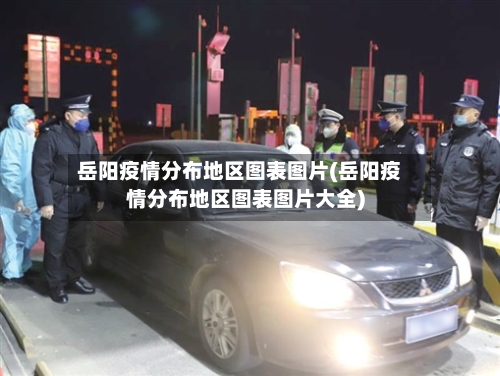 岳阳疫情分布地区图表图片(岳阳疫情分布地区图表图片大全)-第3张图片