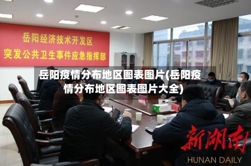 岳阳疫情分布地区图表图片(岳阳疫情分布地区图表图片大全)