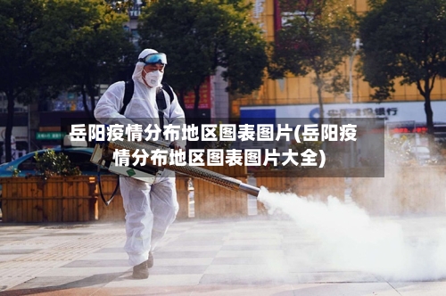 岳阳疫情分布地区图表图片(岳阳疫情分布地区图表图片大全)-第2张图片