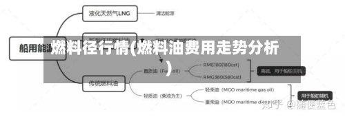 燃料径行情(燃料油费用走势分析)-第2张图片