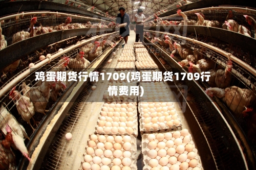 鸡蛋期货行情1709(鸡蛋期货1709行情费用)-第2张图片