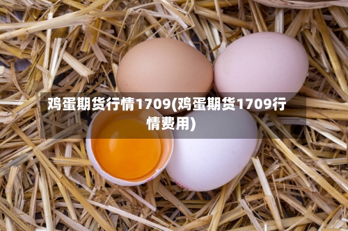 鸡蛋期货行情1709(鸡蛋期货1709行情费用)