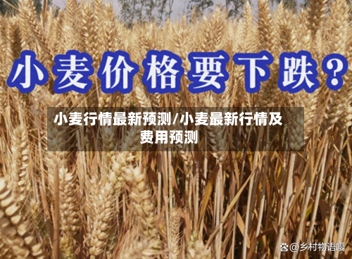 小麦行情最新预测/小麦最新行情及费用预测