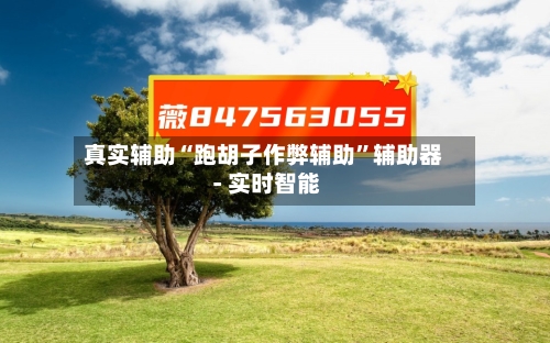 真实辅助“跑胡子作弊辅助”辅助器 - 实时智能