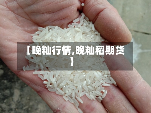 【晚籼行情,晚籼稻期货】-第2张图片