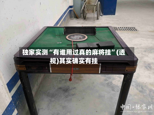 独家实测“有谁用过真的麻将挂”(透视)其实确实有挂-第2张图片