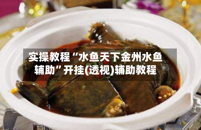 实操教程“水鱼天下金州水鱼辅助”开挂(透视)辅助教程