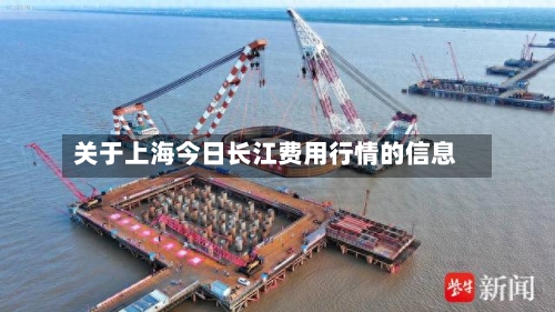 关于上海今日长江费用行情的信息