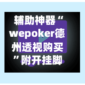 辅助神器“wepoker德州透视购买”附开挂脚本详细步骤-第3张图片