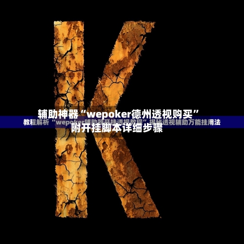辅助神器“wepoker德州透视购买	”附开挂脚本详细步骤-第2张图片