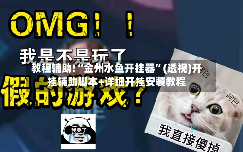 教程辅助!“金州水鱼开挂器”(透视)开挂辅助脚本+详细开挂安装教程-第3张图片