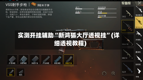 实测开挂辅助“新鸿狐大厅透视挂”(详细透视教程)-第2张图片