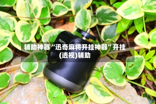 辅助神器“迅奇麻将开挂神器”开挂(透视)辅助-第3张图片