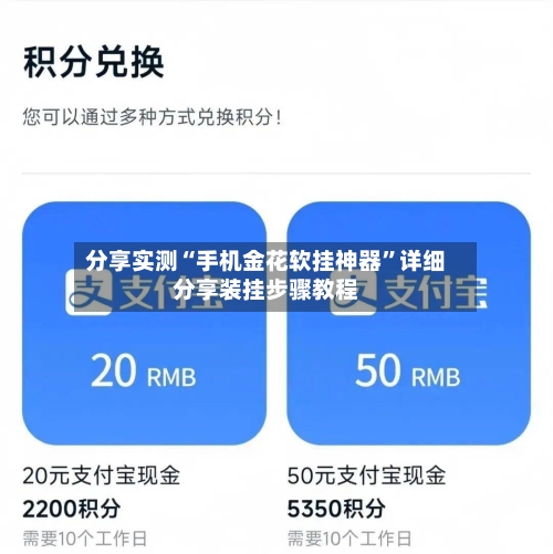 分享实测“手机金花软挂神器	”详细分享装挂步骤教程-第3张图片