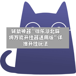辅助神器“微乐湖北麻将万能开挂器通用版”详细开挂玩法-第3张图片