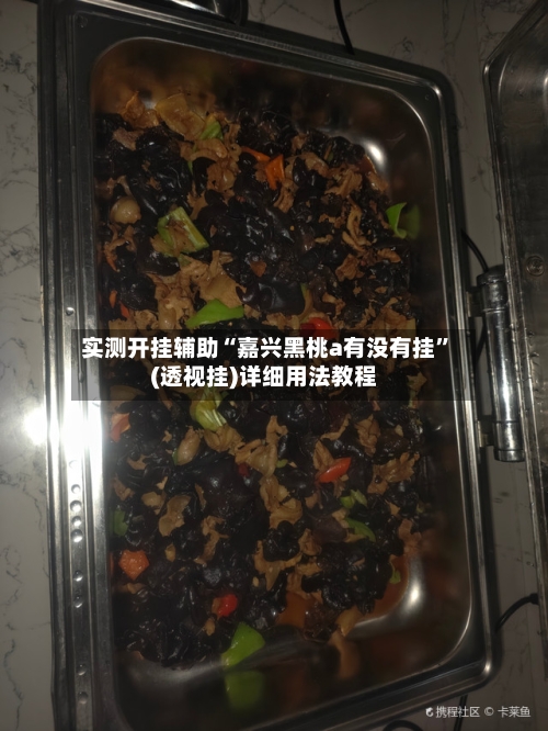 实测开挂辅助“嘉兴黑桃a有没有挂”(透视挂)详细用法教程