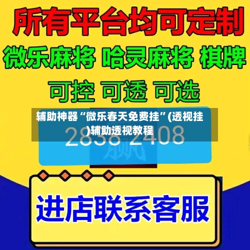 辅助神器“微乐春天免费挂”(透视挂)辅助透视教程