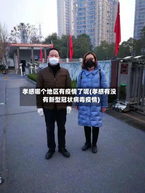 孝感哪个地区有疫情了呢(孝感有没有新型冠状病毒疫情)