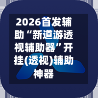 2026首发辅助“新道游透视辅助器”开挂(透视)辅助神器-第2张图片