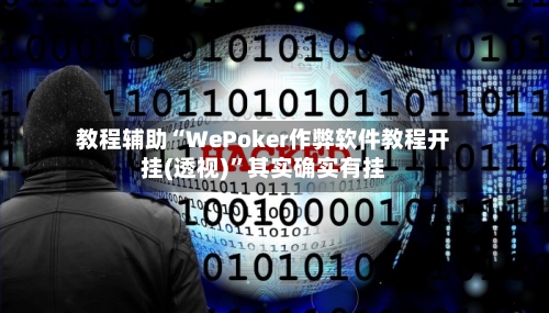 教程辅助“WePoker作弊软件教程开挂(透视)”其实确实有挂-第2张图片