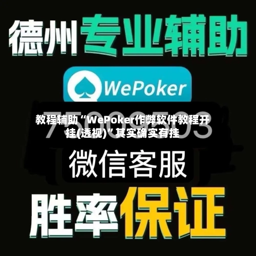 教程辅助“WePoker作弊软件教程开挂(透视)”其实确实有挂-第3张图片